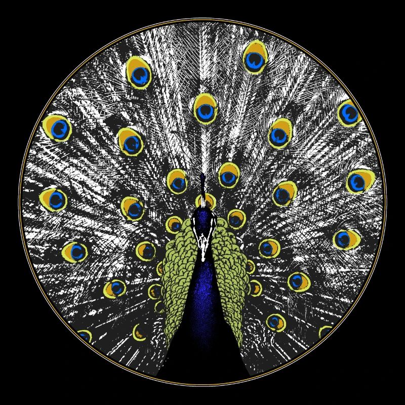 Pfau in Holzschnitt-Optik