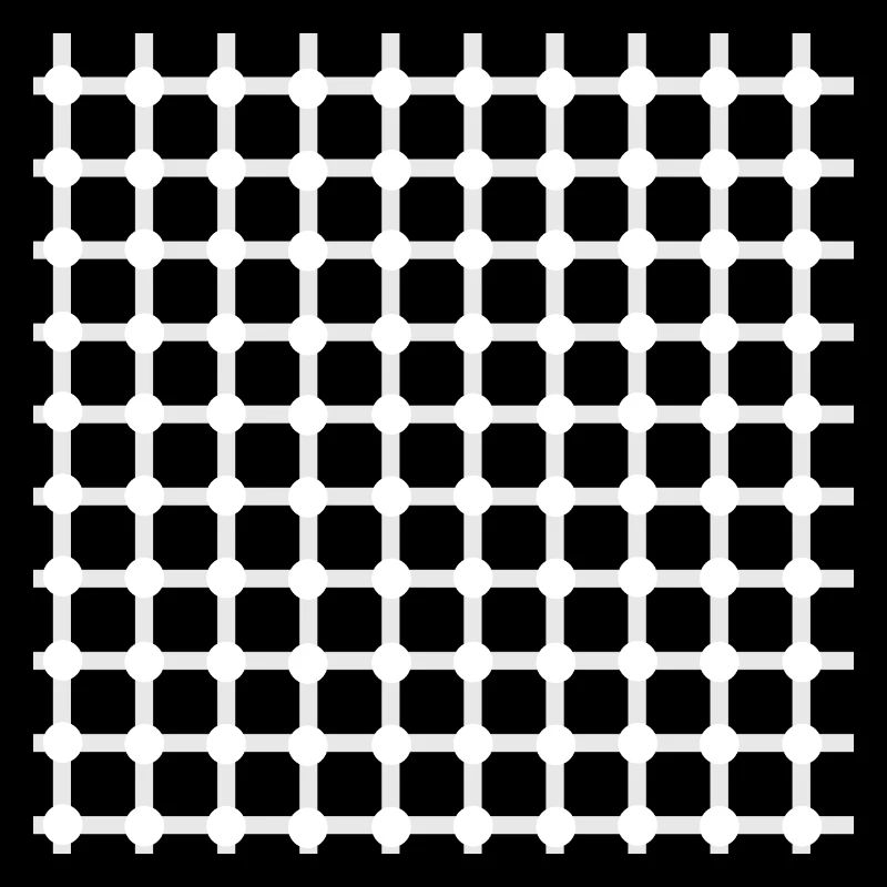 Hermann grid perception illusion optics gift