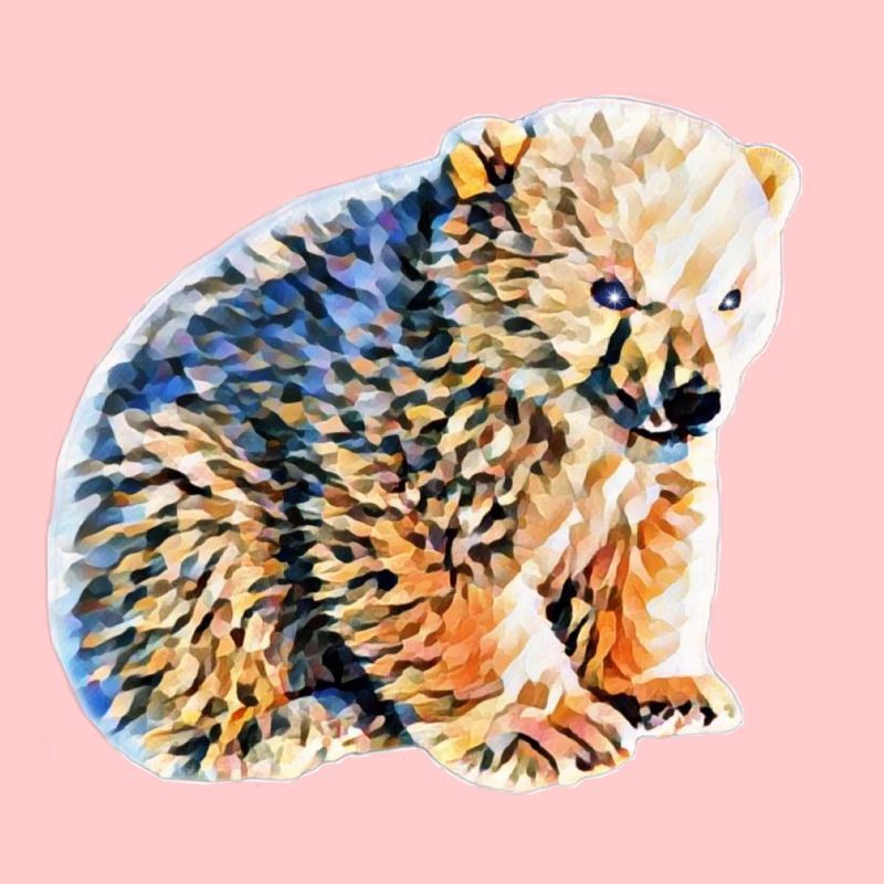 Eisbär