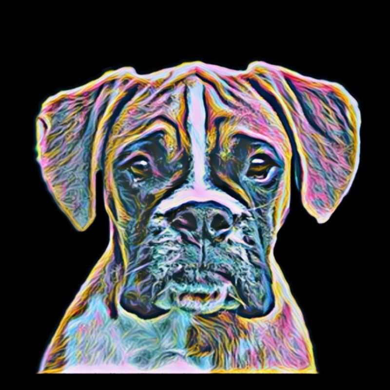 Chiens boxeurs