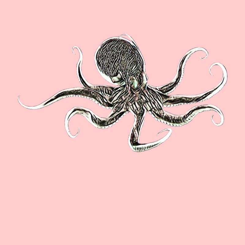 Octopus