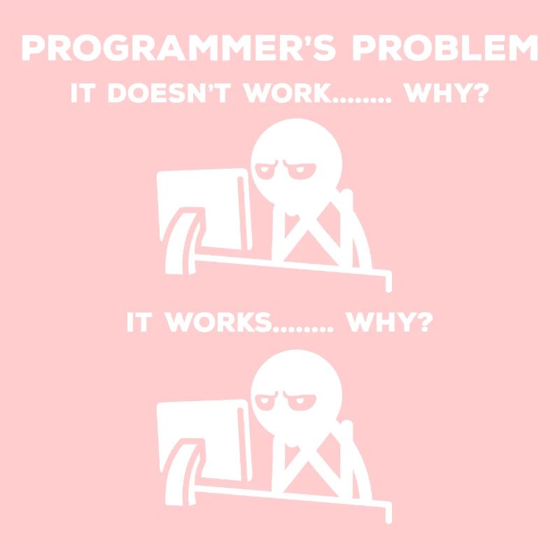 Computer Scientist Problem