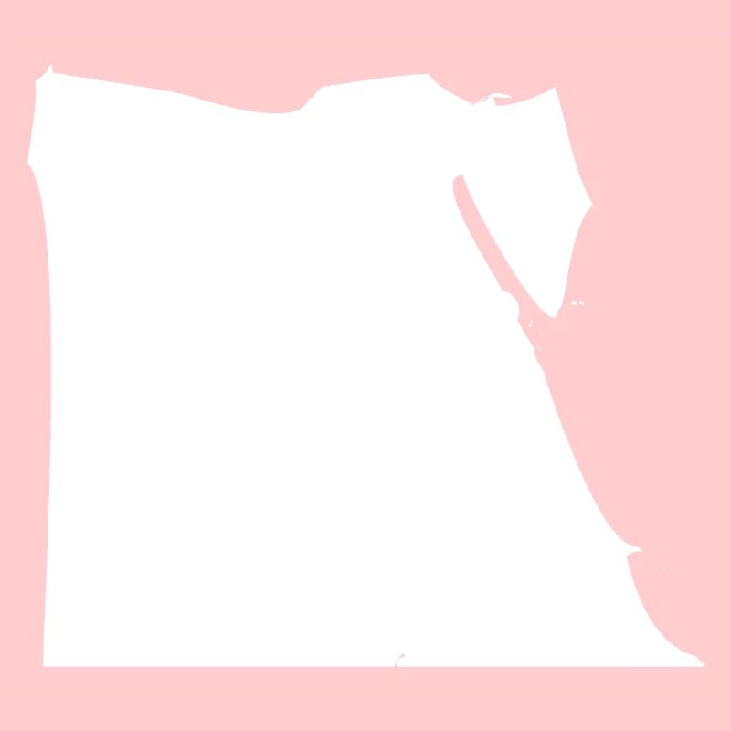 Egypt map flag