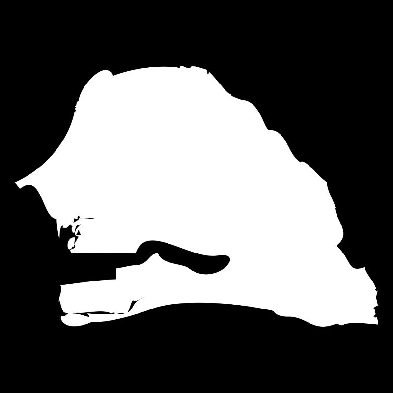 Senegal map flag