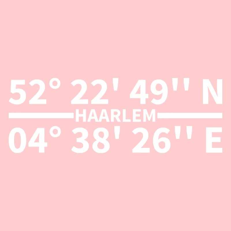 Haarlem coordinates