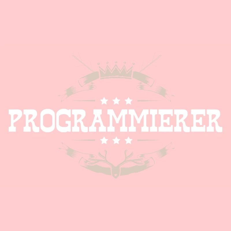 Programmierer Beruf