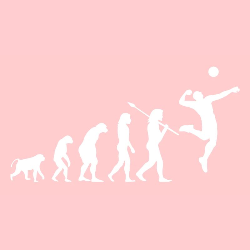 Volleyball Evolution