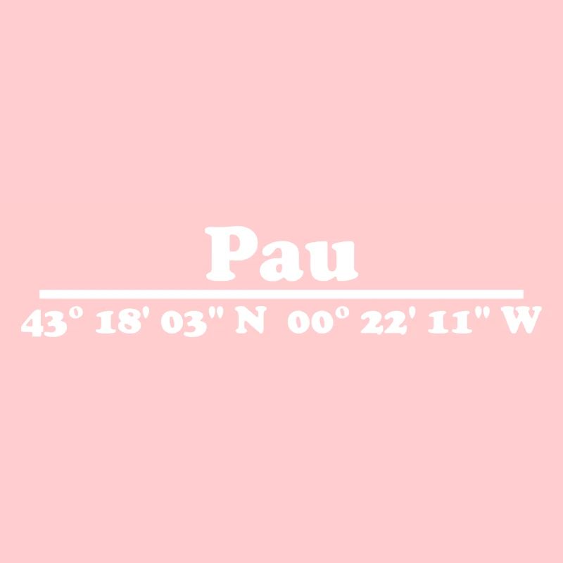 Coordonnées Pau