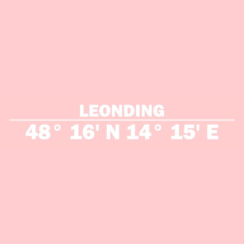 Leonding coordinates