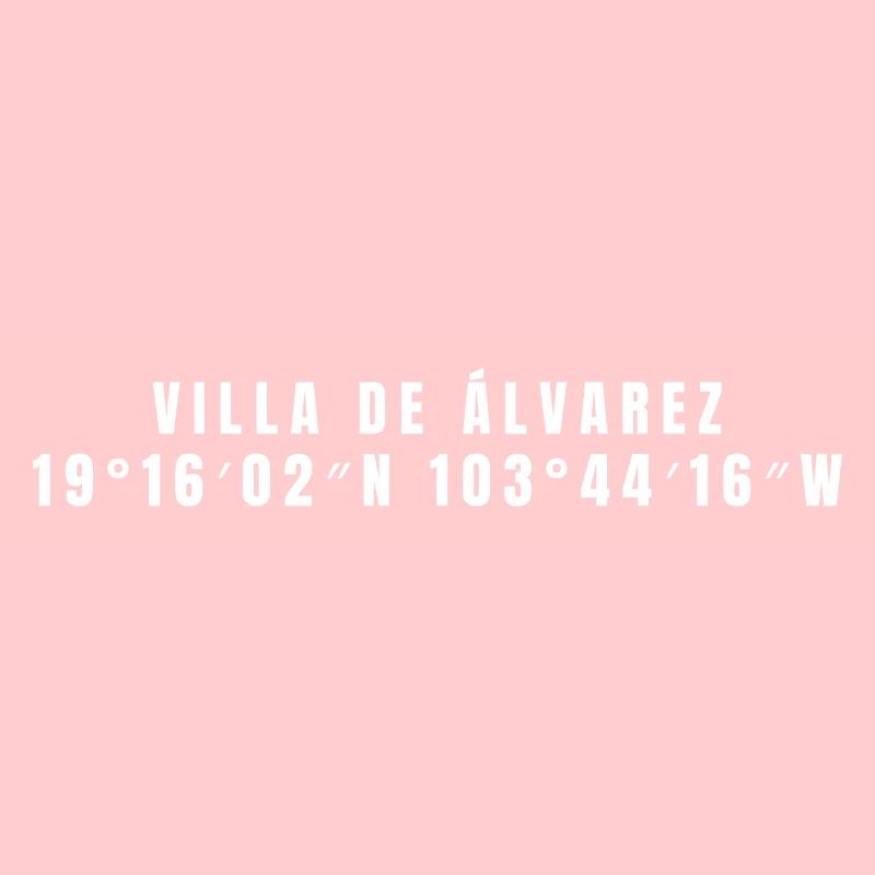 Villa de Álvarez, Mexico Coordinates