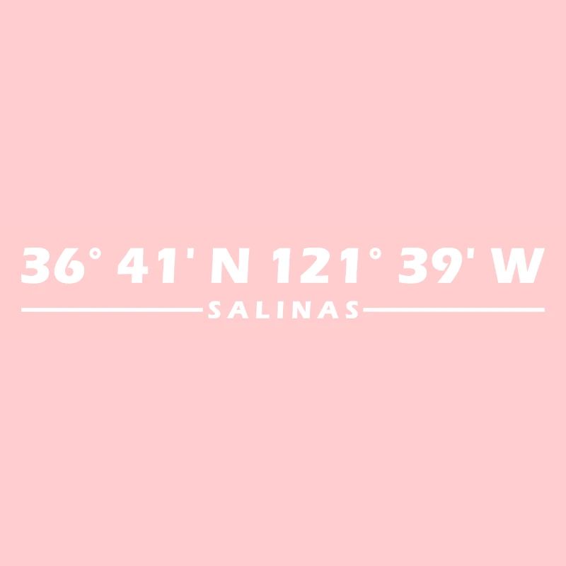 Salina's coordinates