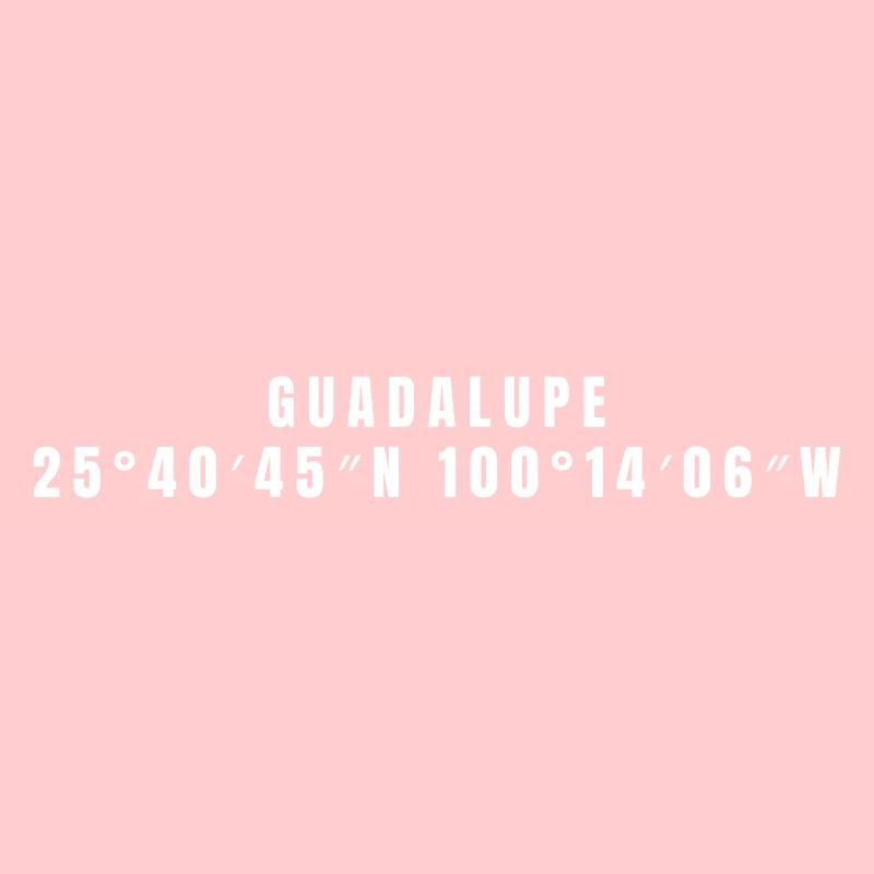 Guadalupe, Mexico Coordinates