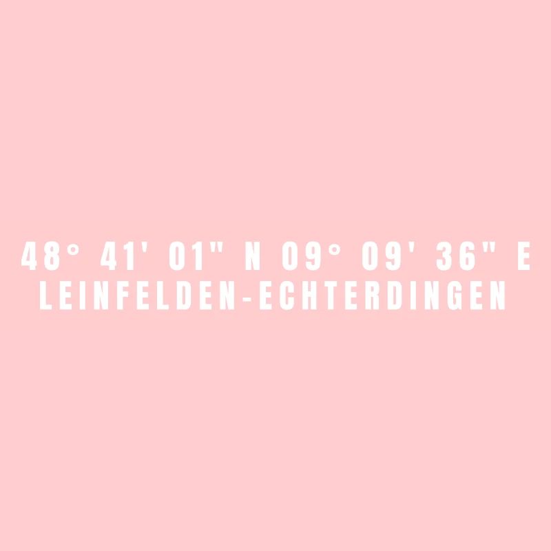 Leinfelden-Echterdingen Baden-Württemberg Coordinateur