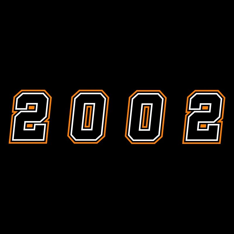 2002 Year Number
