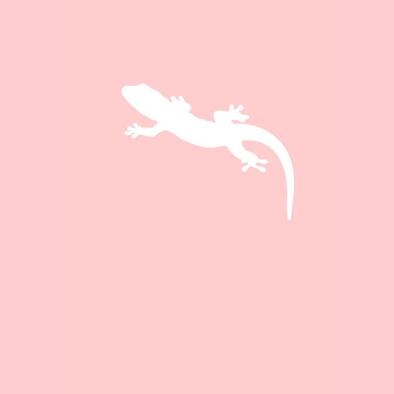 lizard