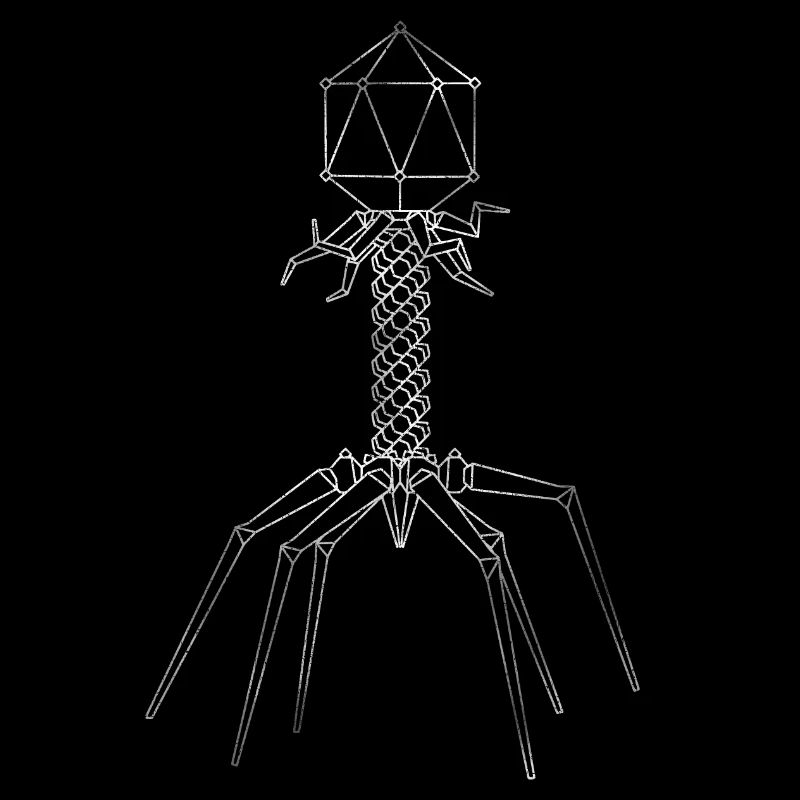 Phages