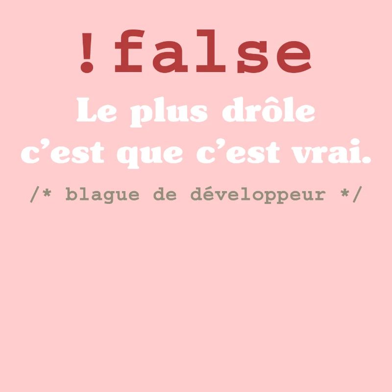 Blague programmeur développeur codeur informatique