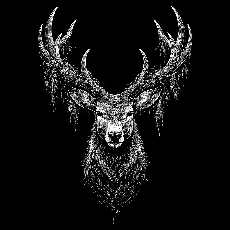 Cerf rouge