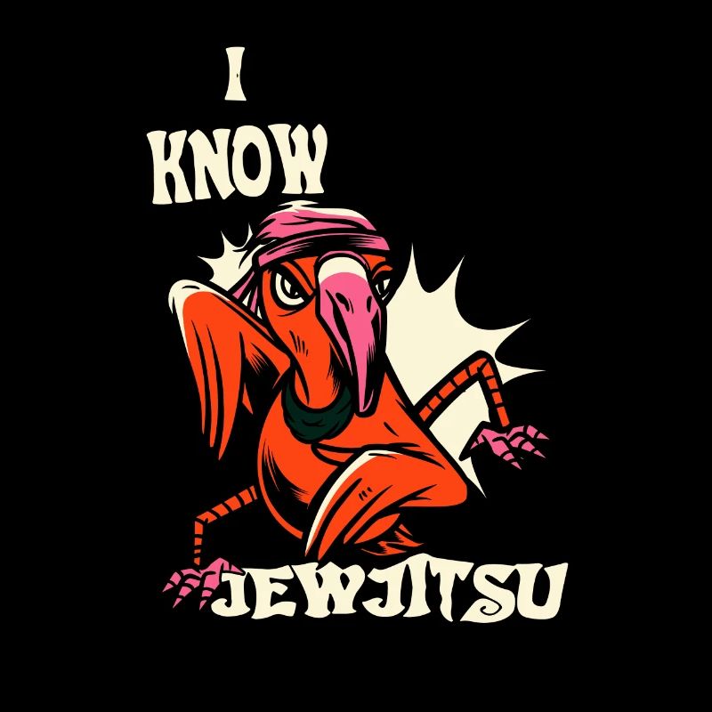 I know JewJitsu dance Horah Jiu Jitsu Rabbi