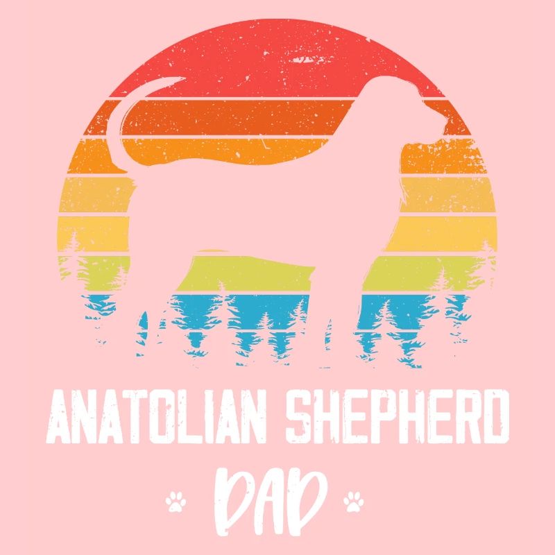 Cane da pastore anatolico