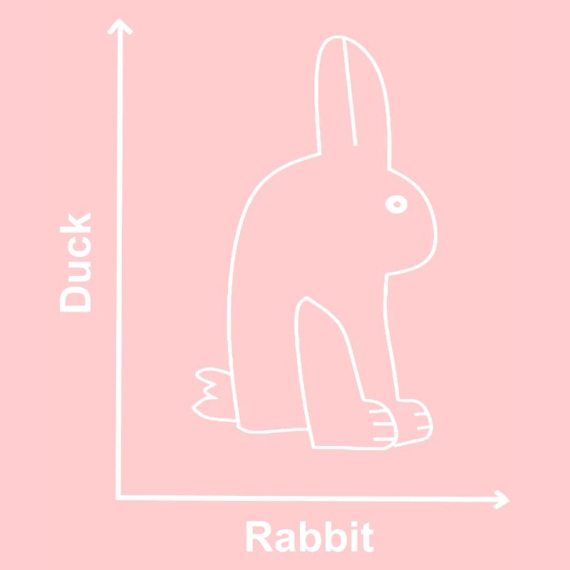 Rabbit Duck Funny Animals