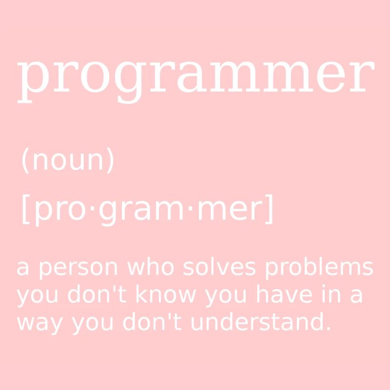 Programmer Spruch Informatiker Computer Scientist