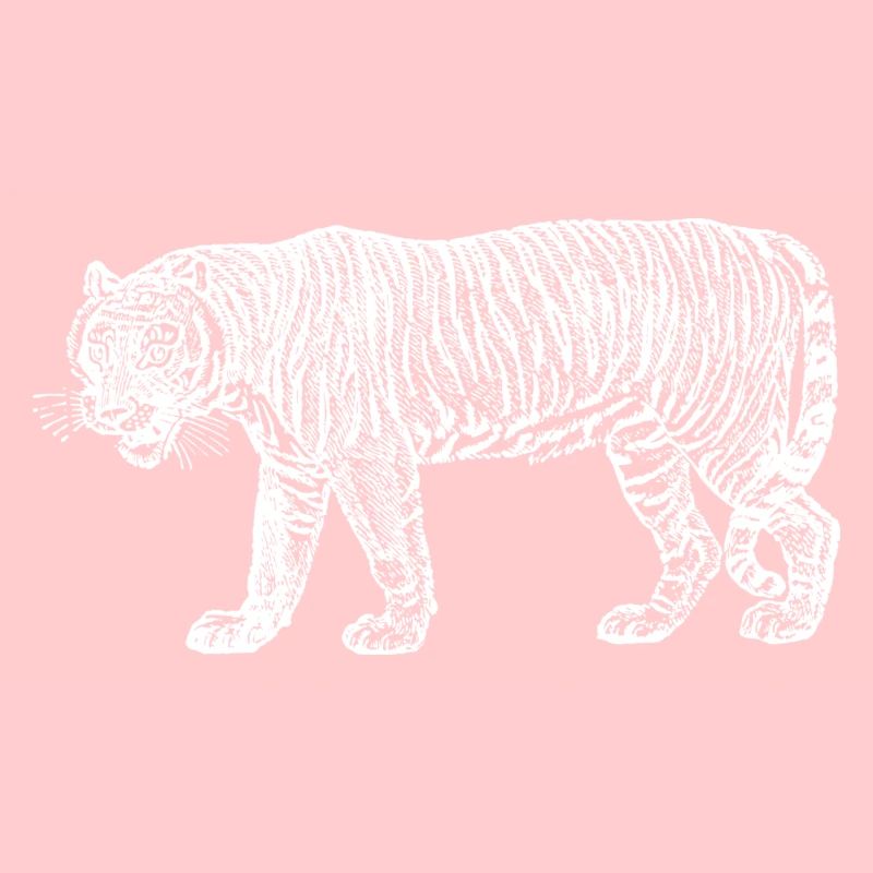 tigre