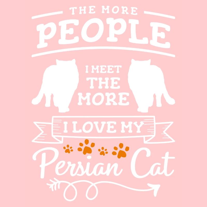 Chat persan Cat Lady