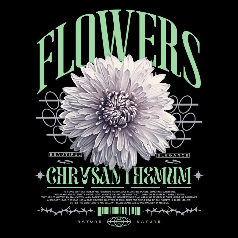 Chrysantheme Chrysanthemen Blume Blumen