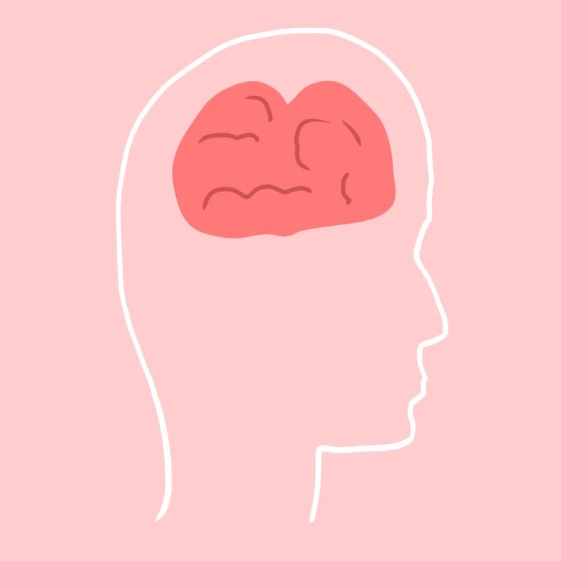 Head Profile People Side Brain Form