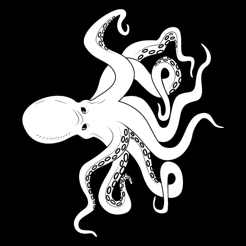 Octopus octopus