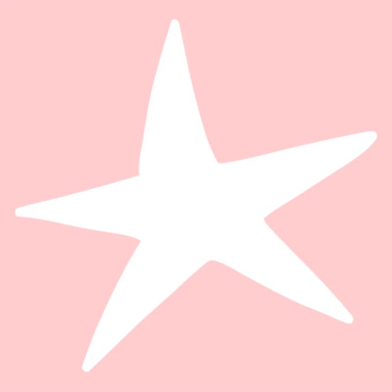 Star pattern icon