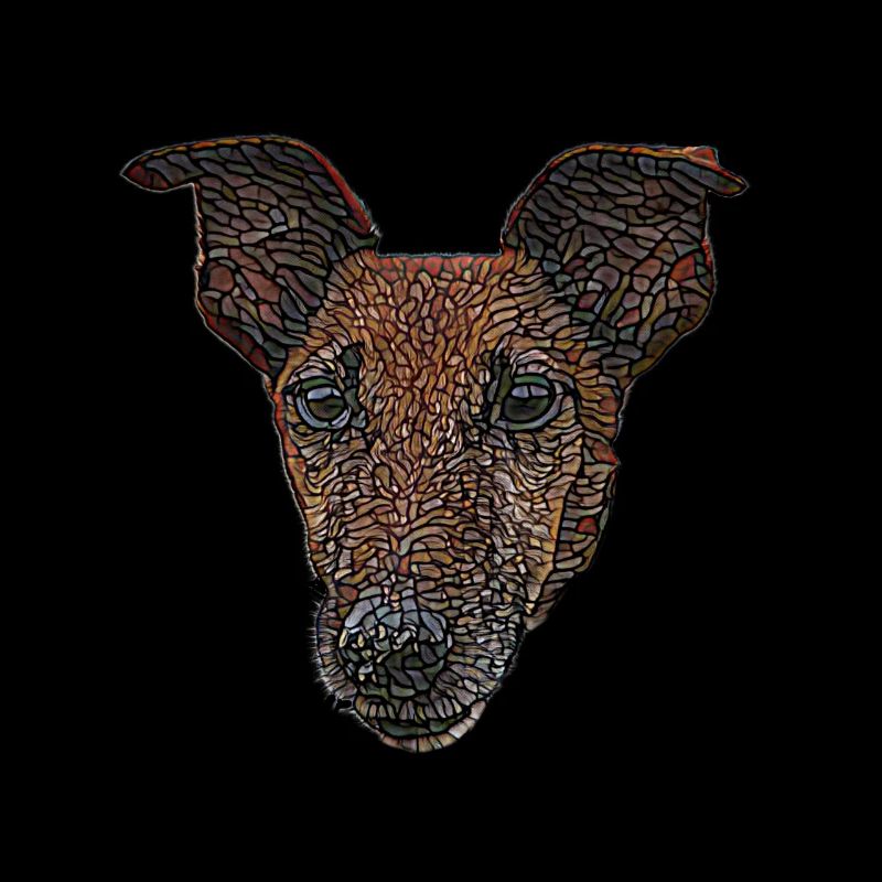 Smooth Fox Terrier Face