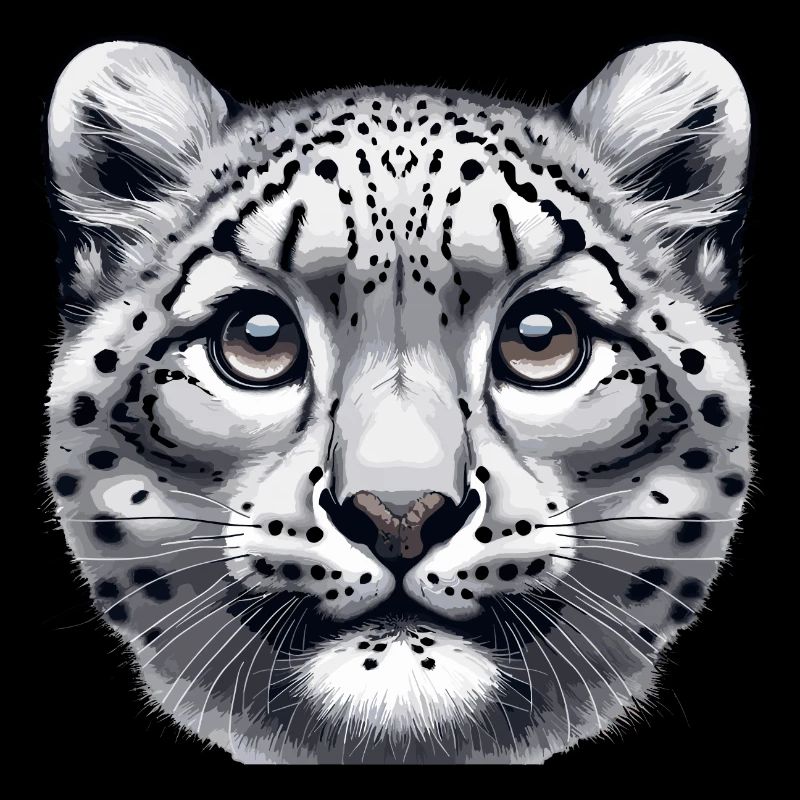 Snow Leopard Leopard White Leopard