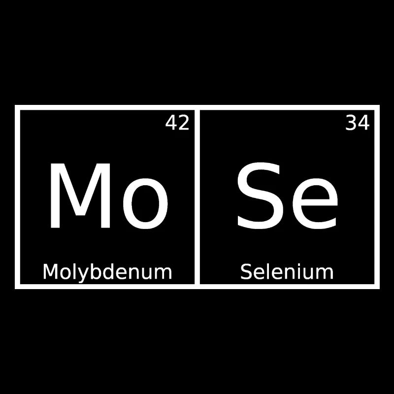 Moses Name First Name Chemistry Periodic Table Elements
