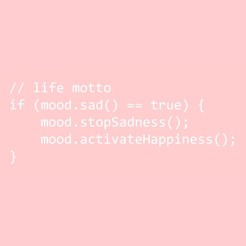 life motto for a programmer/informaticien