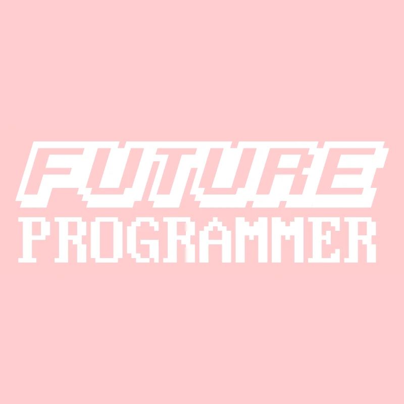 Programmer Coder Software Developer