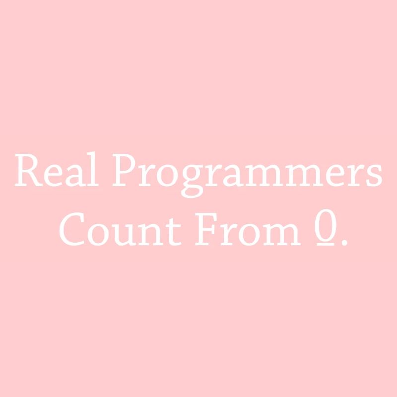 Programmer Coder Software Developer