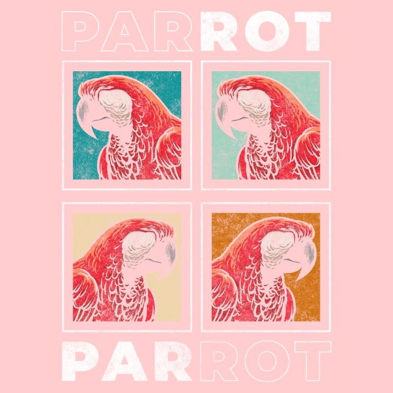 Bird Feathers Environment