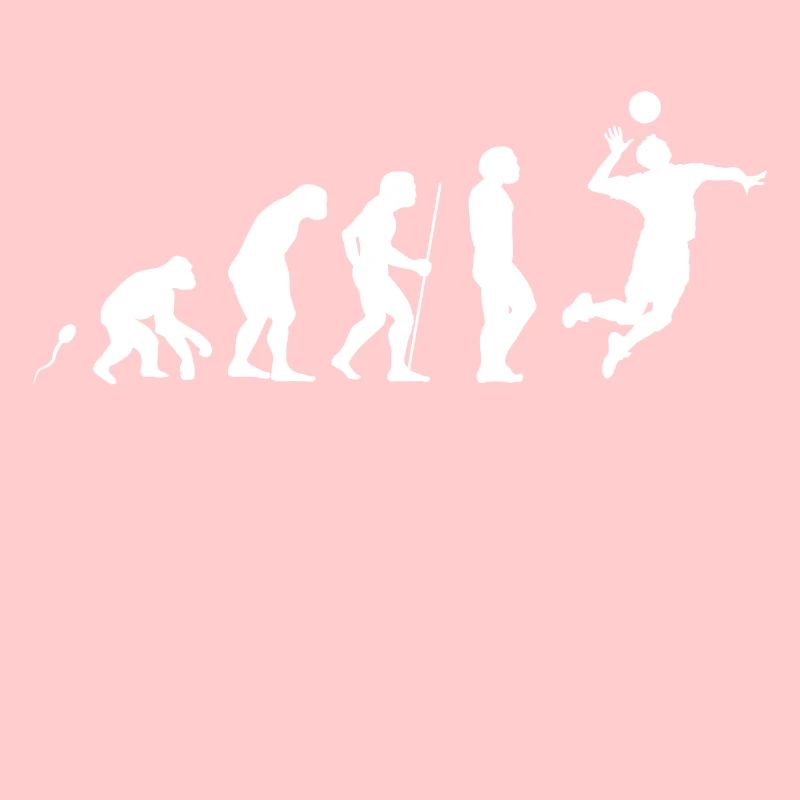 Evolution Volleyball 3