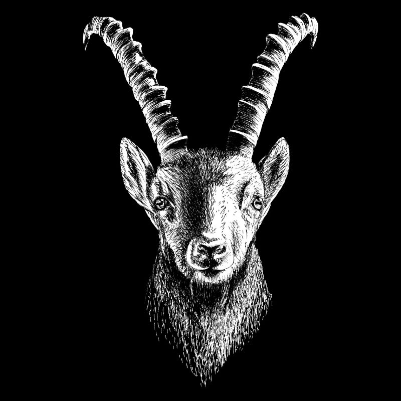 Steinbock weiß