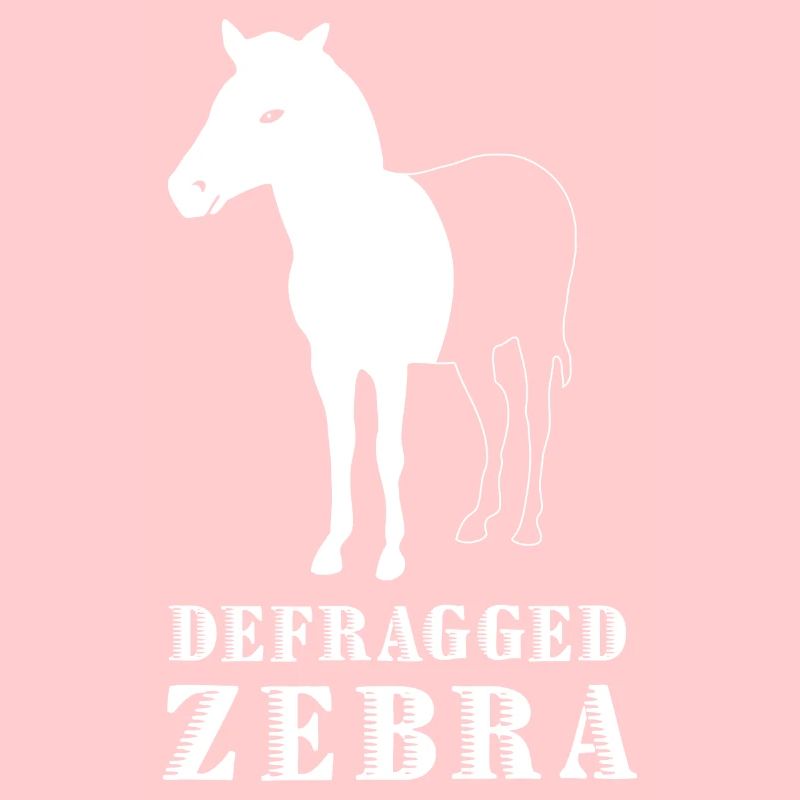 Defragged Zebra Informatiker Admin Geek Geschenk