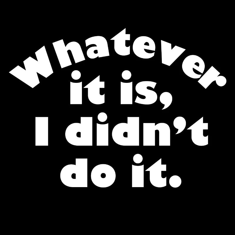 Whatever It Is I Didn’t Do It