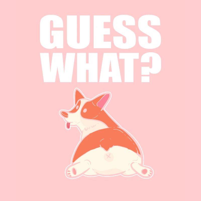 Corgi