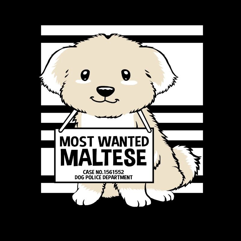 Maltese