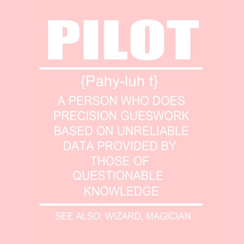 Pilot Flugzeug