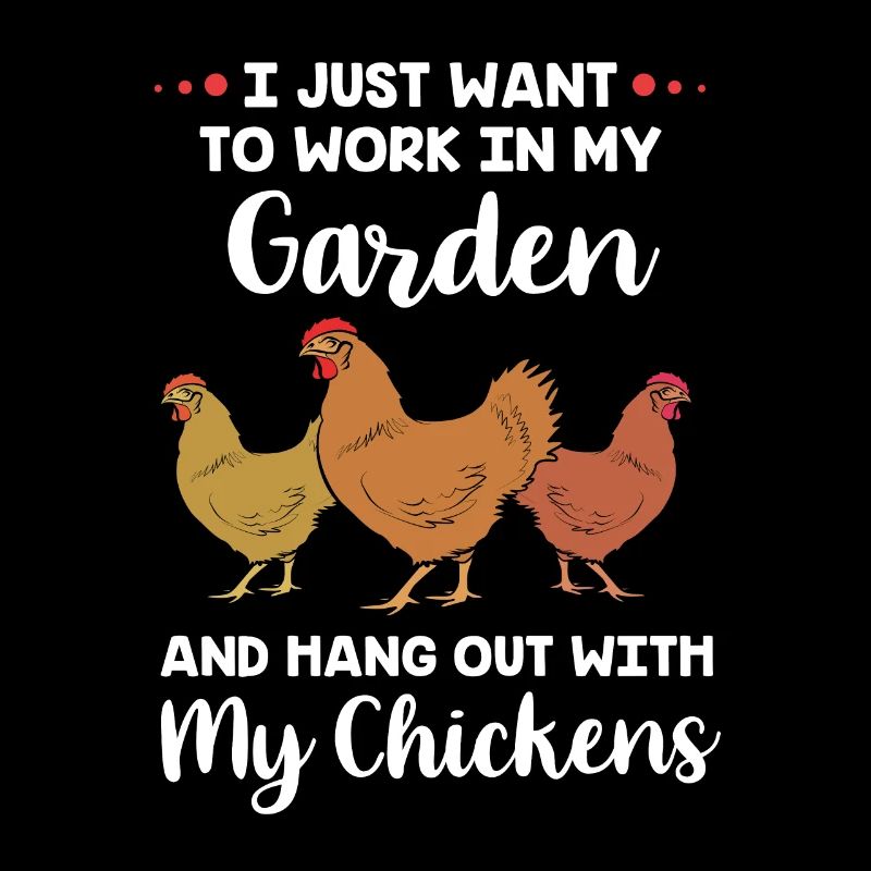 Poulet Volaille