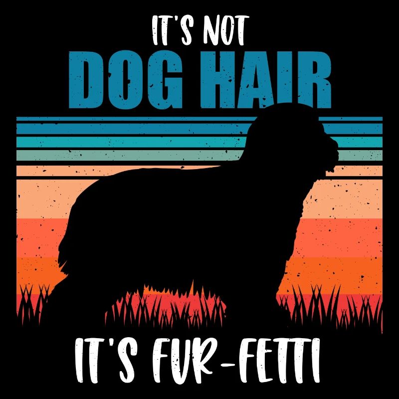 Bearded Collie