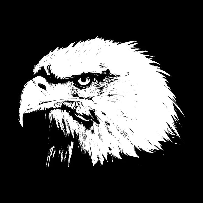 tête d'aigle
