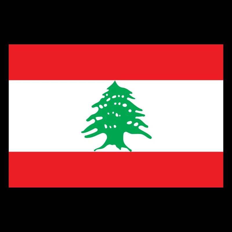 Liban drapeau libanais drapeau